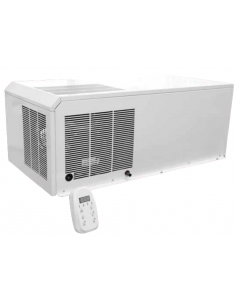 Monobloqueo de pared - Negativo -20°C - Gas R452A