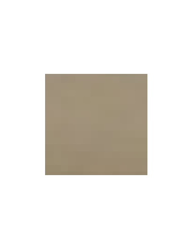 Tortora