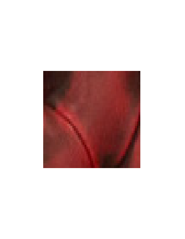 Anticato rosso
