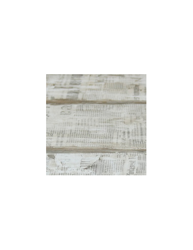 “ALFA” NEWSPAPER