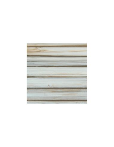 “ALFA” MARITIMO PINE