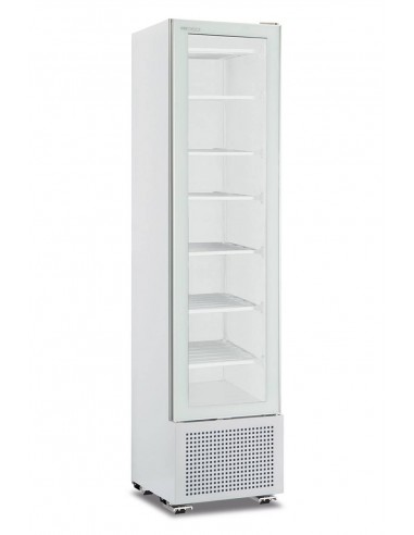 Congelador de vidrio - Capacidad en cifras brutas- cm 49.4 x 52.1 x 191.5 h