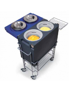 Contenitore isotermico per gelato -  N. 2 carapine - Cm...