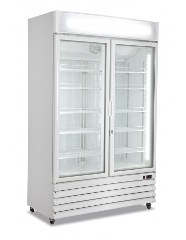 Armario de congelador - Capacidad 800 Lt..- cm 122 x 70 x 198 h