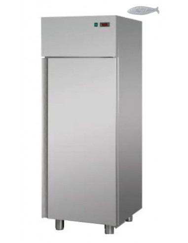 Refrigerator cabinet - Fish - Capacity Lt. 600 - Cm 72 x 70 x 205 h