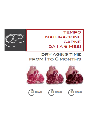 Maturing kit for over 12 months - To get meat with superior characteristics