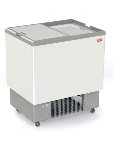 Congelatore pozzetto - Capacità  lt 243 - cm 91 x 68.5 x 100 h
