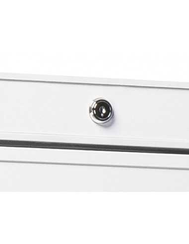 Armario refrigerado - Capacidad 400 L - cm 60 x...