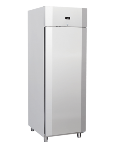 Freezer cabinet - Capacity L 450 - cm 68 x 73 x 204.5h