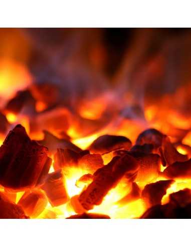 Coal oven - Production 60 kg/h - cm 80 x...