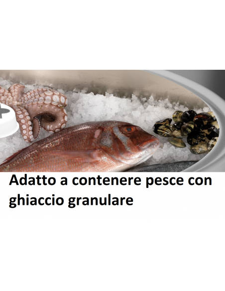 Isola espositiva con mensola ventilata - Temperatura positiva - Cambio colori