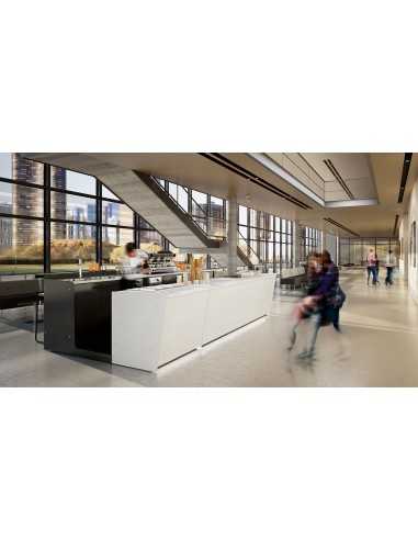 Bar and back counter with ice cream display -...