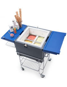 Helado crema contenedor isotérmico - N.2 tanques - Cm 52...