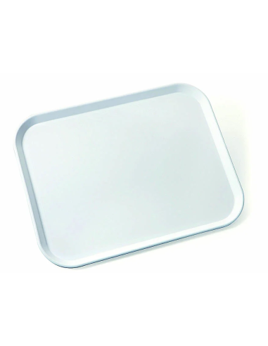 Polyester tray - Rectangular - N.24 pieces - cm 46 x 36