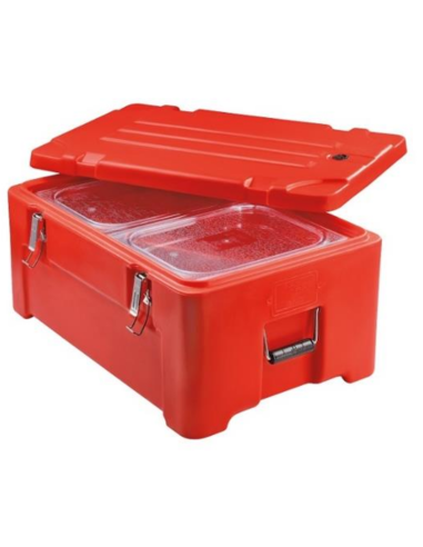 Isothermal container - Capacity 39 liters -...