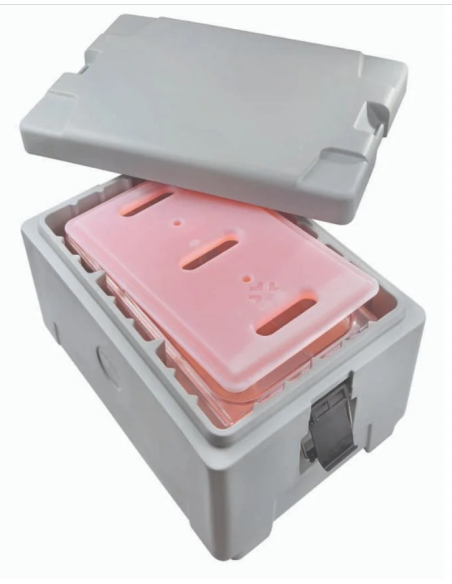 Isothermal container - Capacity 49 liters - From -30° C to +100 °C - cm 46 x 64 x 38 h