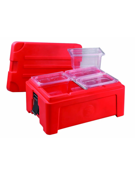 Contenitore isotermico - Capacità 31 litri - Da -30° C a +100 °C - cm 41 x 61 x 30 h