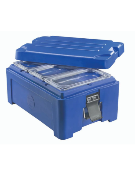 Contenitore isotermico - Capacità 31 litri - Da -30° C a +100 °C - cm 41 x 61 x 30 h