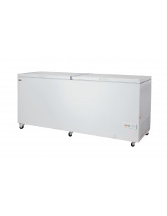 Congelatore orizzontale - Capacità Lt 655 - Cm 205.5 x 72...