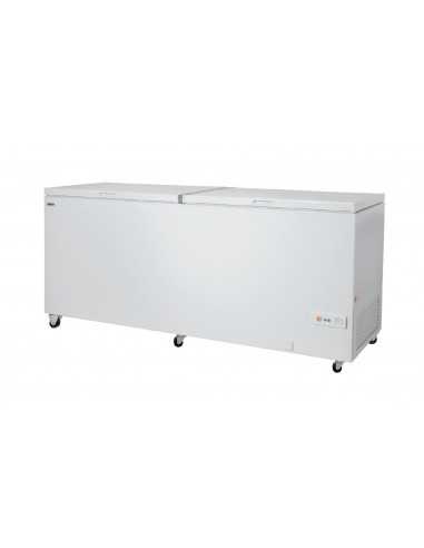 Congelador horizontal - Capacidad Lt 655 - Cm 205.5 x 72 x 84.5 h