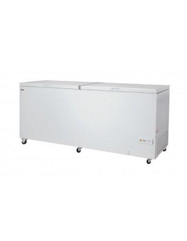 Horizontal freezer - Capacity Lt 655 - Cm 205.5 x 72 x 84.5 h