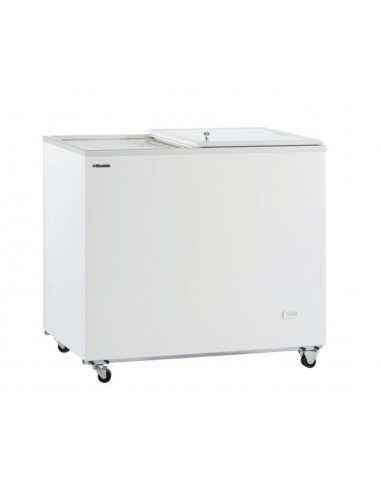 Horizontal freezer - Capacity lt 303 - Cm 101.5 x 63.5 x 92h