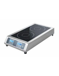 Induction plate - cm 41.6 x 69 x 13