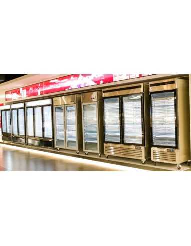 Armadio congelatore porta a vetro litri 610 - cm 68.5 x 80 x 212 h