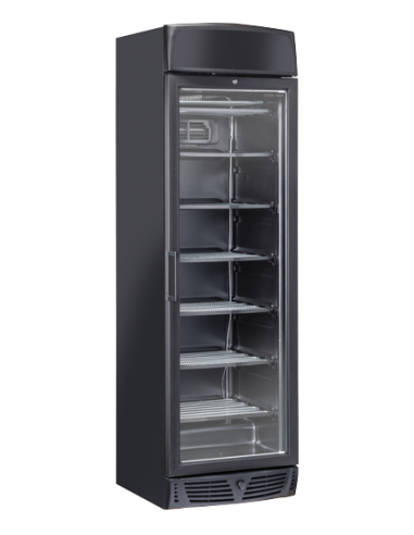 Freezer cabinet - Capacity Lt. 300 - cm 60 x 64 x 200.5h