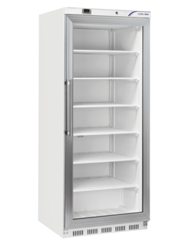 Freezer cabinet - Capacity Lt. 600 - cm 78 x 76.8 x 190.2h