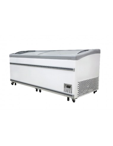 Horizontal freezer - Capacity 698 Lt- cm 210.6 x 87 x 92.5 h