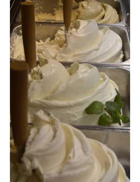 Container - Stainless steel - Dimensions cm 33 x 16.5