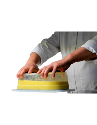 Coperchio GN 1/3 - Polipropilene - Chiusura...