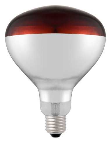 Infrared Bulb - Hot Red Light - Power 250 W -...