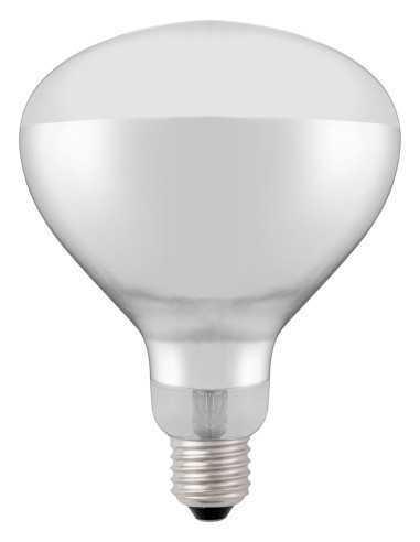 Infrared Bulb - Bright white light - Power 250...