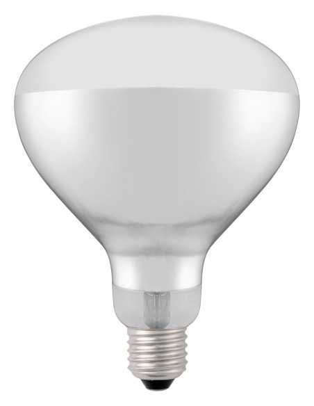 Infrared Bulb - Bright white light - Power 250 W - mm Ø 125 x 170