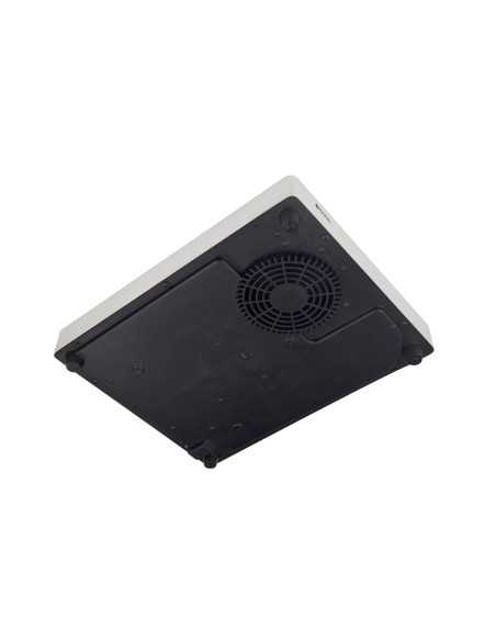 Glass-ceramic induction plan - cm 29.3 x 37.3 x 5.6h