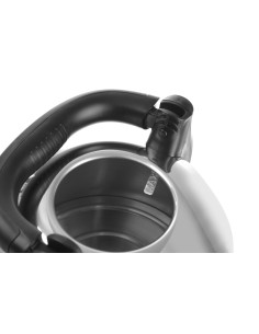 Professional electric kettle 4.2 liters for water 2