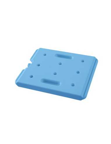 Elemento termico per mantenimento freddo - Per...