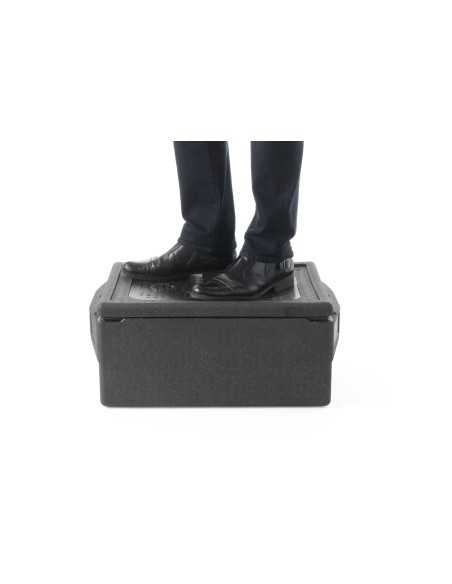 Thermal box - Airtight - Capacity Lt. 39 - cm 67.4 x 40 x 28.7h