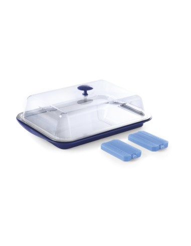 Thermal tray - Transparent cover - mm 430 x 290 x 150h