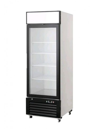 Refrigerator cabinet - Capacity Lt 610 - cm 68.5 x 80 x 206.2 h
