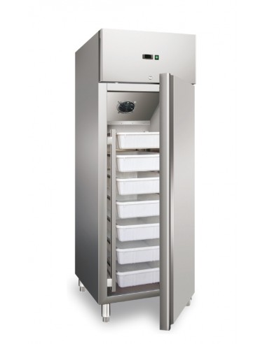 Armadio frigorifero - Per pesce - Capacità Lt 537 - cm 68 x 81 x 200 h