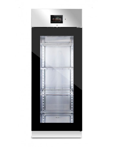 Seasoning cabinet - Glass door - Meat 150 kg - Cheese 100kg - Temperature 0 +30°C - cm 75 x 85 x 208 h