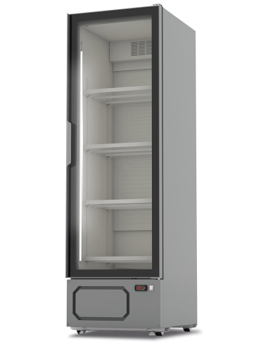 Armadio frigorifero - Capacità litri 55 - cm 63 x 79.3 x 204.1 h