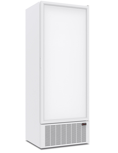 Refrigerator cabinet - Capacity lt 678 - cm 80 x 70 x 213 h