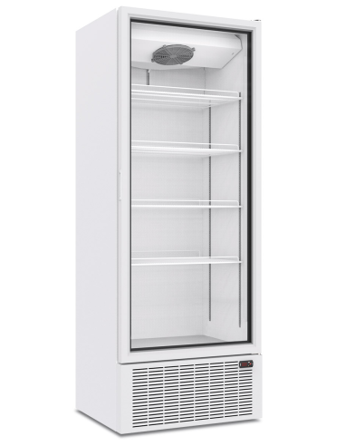 Armadio frigorifero - Capacità lt 678 - cm 80 x 70 x 213 h