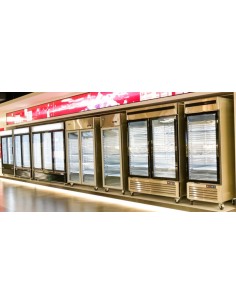 Armadio congelatore porta a vetro 1240 litri - cm 131.4 x 80.5 x 206.5 h 2