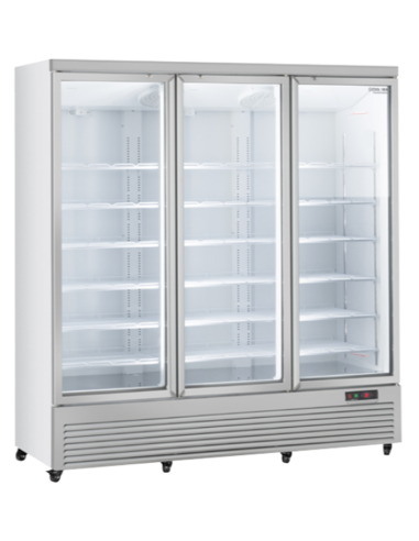 Refrigerator cabinet - Capacity lt 1664 -  cm 188 x 74 x 204 h