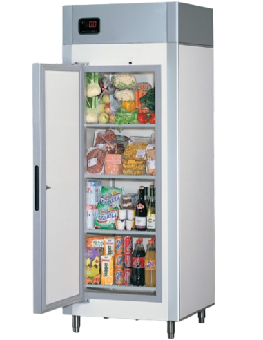 Removable cabinet - Temperature -18°C -22 °C - cm 88 x 82 x 235.5 h